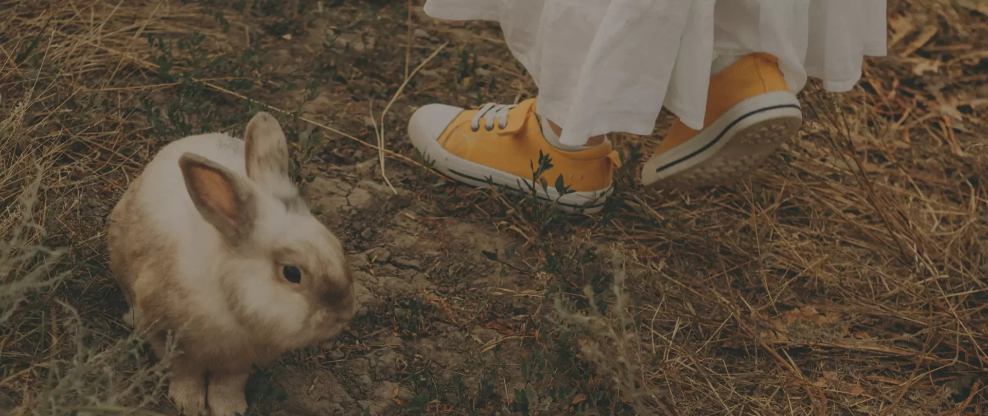 lapin au pied d'un enfant