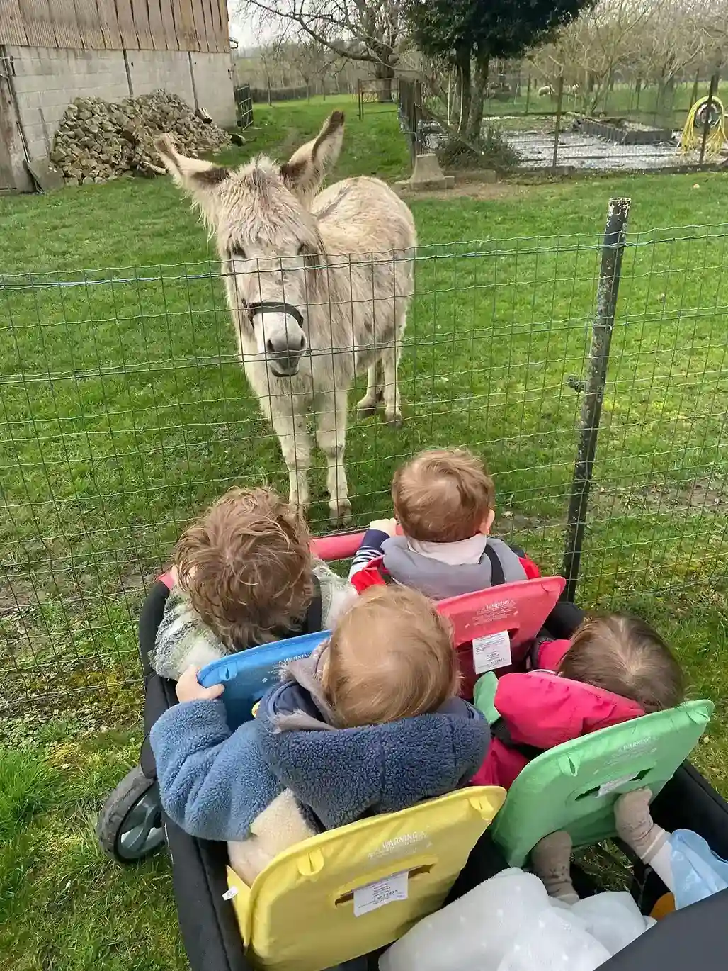 Enfants en balade devant un âne